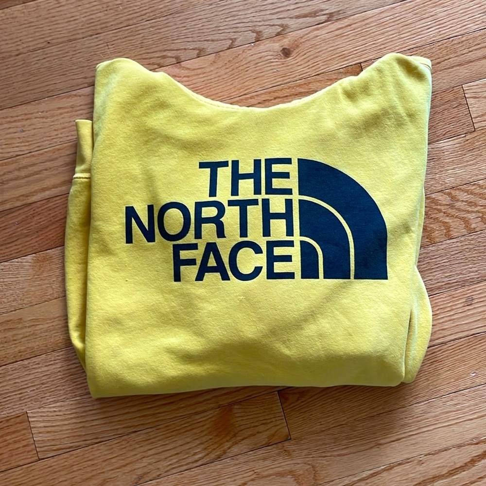 The north face hoodie